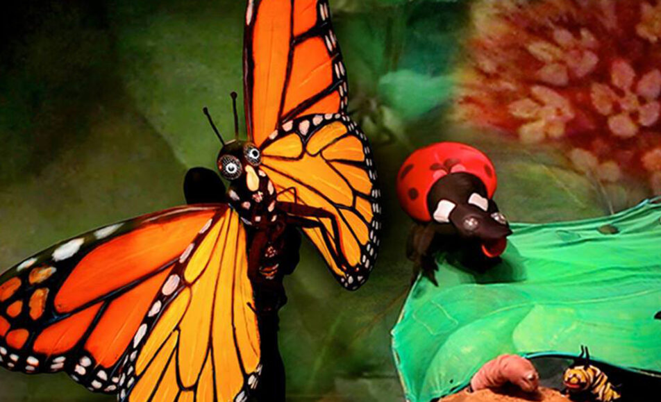 Art on Stage Butterfly The Story of a Life Cycle